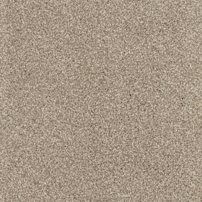Shar-Pei Swatch Thumbnail