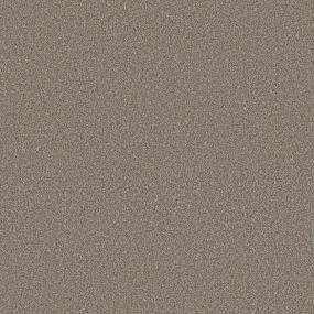 Cape May H2O - Russet Swatch