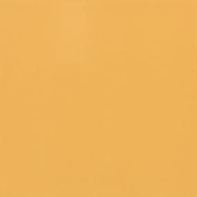 Mustard Glossy Swatch