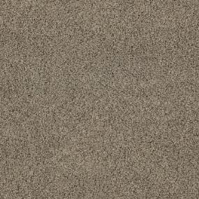 Gentle Brown Swatch