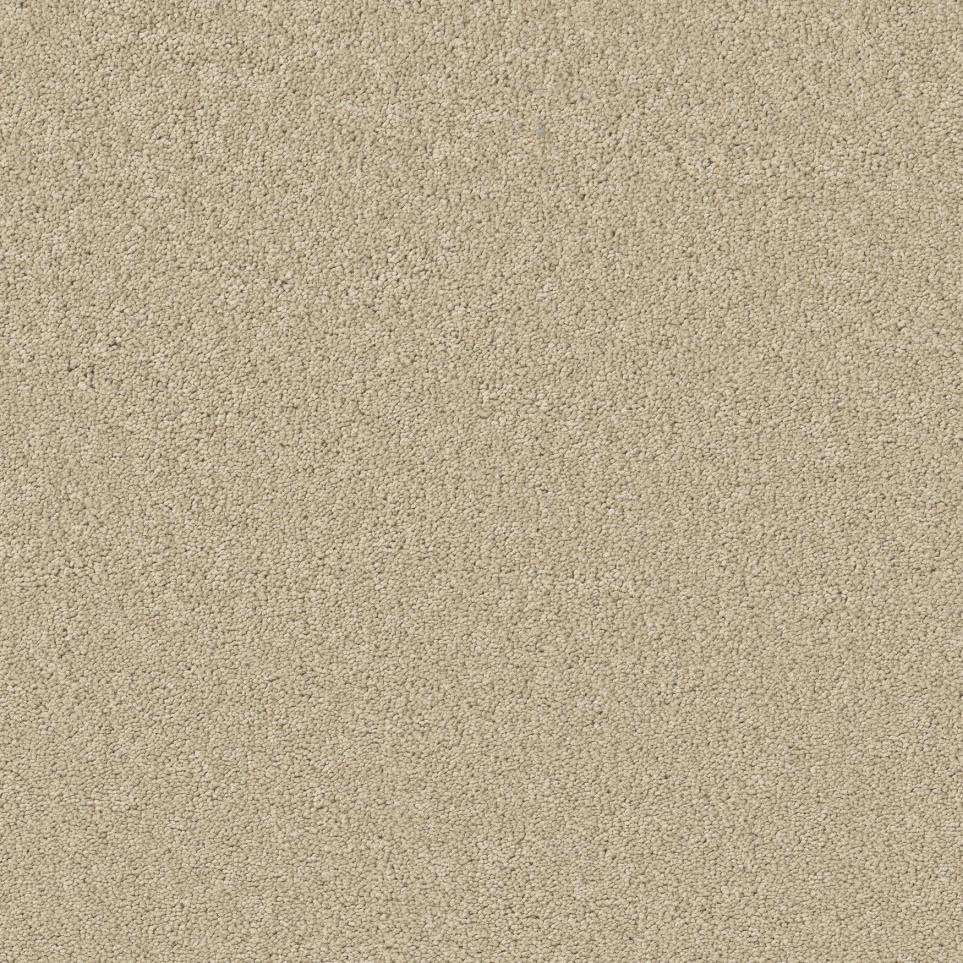 Toasted Almond Zoomed Swatch