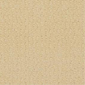 Champagne Gold Swatch Thumbnail
