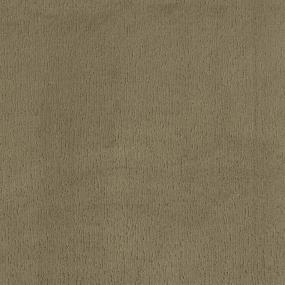 Vivid Clear - Allspice Swatch