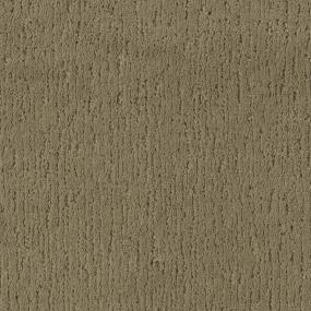 Allspice Zoomed Swatch