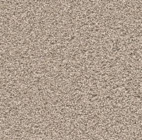 Stunning - Mocha Swatch