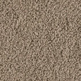 Soft Excellence - Teak Swatch