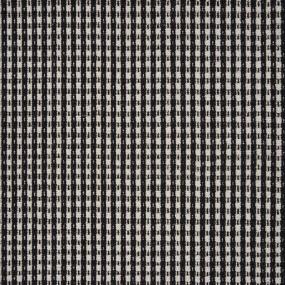 Dalmatian Swatch Thumbnail