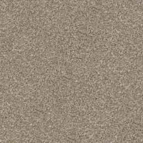 Top Dog - Sheltie Swatch