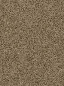 Sweepstakes - Honey Beige Swatch
