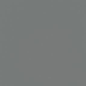 Charcoal Polished Swatch Thumbnail