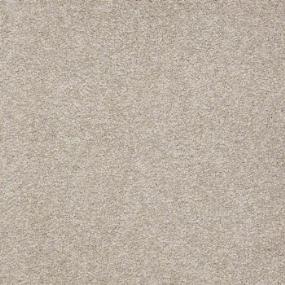 Argus I 12' - Holiday Swatch
