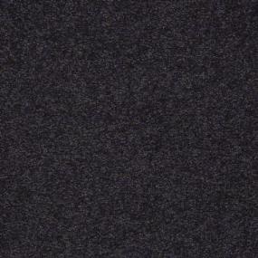 Argus I 12' - Timber Wolf Swatch