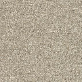 Positive Outlook III - Conch Shell Swatch