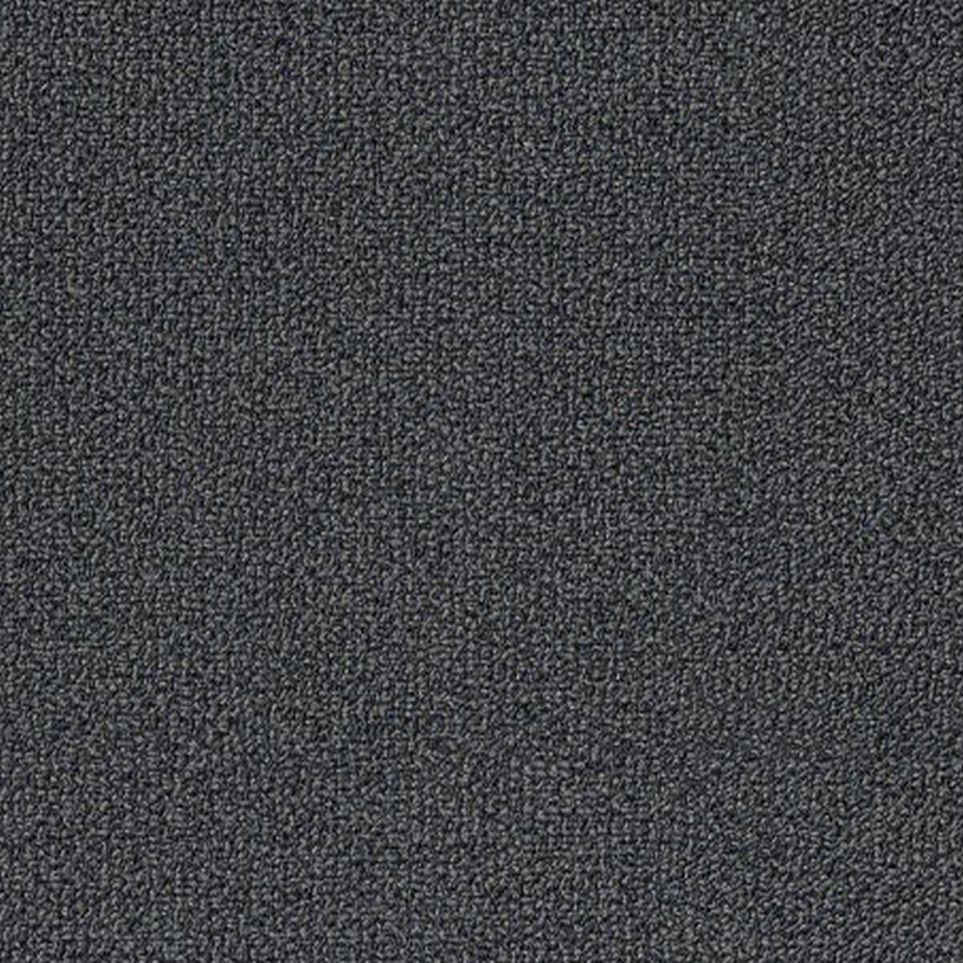 Trek Zoomed Swatch