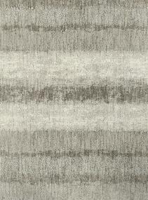 Strides - Forest Park Swatch
