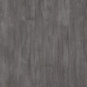 Judgement 5.0 - Shadow Swatch