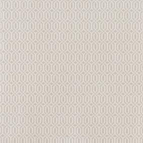 Influential Dfb - Bisque Swatch