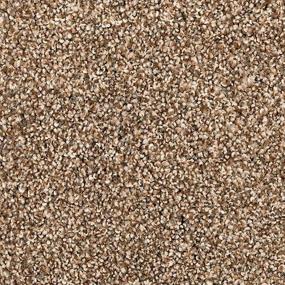 Sandy Clay Zoomed Swatch