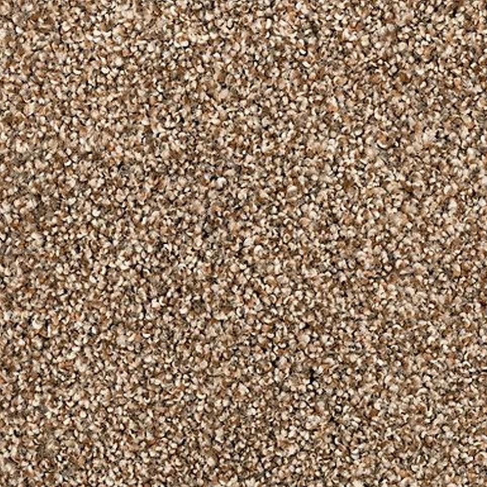 Sandy Clay Zoomed Swatch