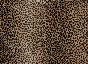 Bronze Swatch Thumbnail