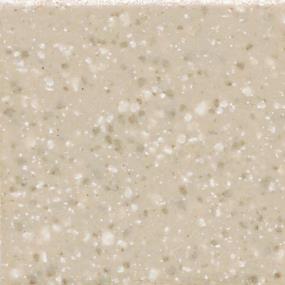Unglazed Mosaics Straight Joint 2X2 Dm 12X24 Mt Grp1 - Willow Speckle Matte Swatch