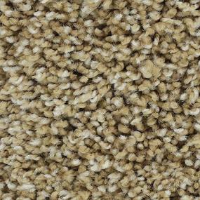 Warm Sand Swatch Thumbnail