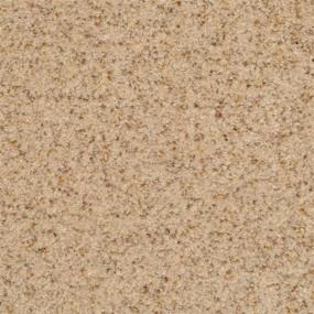 Chromatic Touch - Oatmeal Swatch