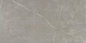 Sterlina II Polished 12X24 - Dove Swatch