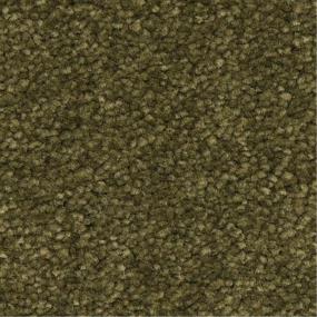 Esperanza - Verde Oliva Swatch