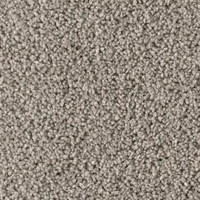 Dragonfly Zoomed Swatch