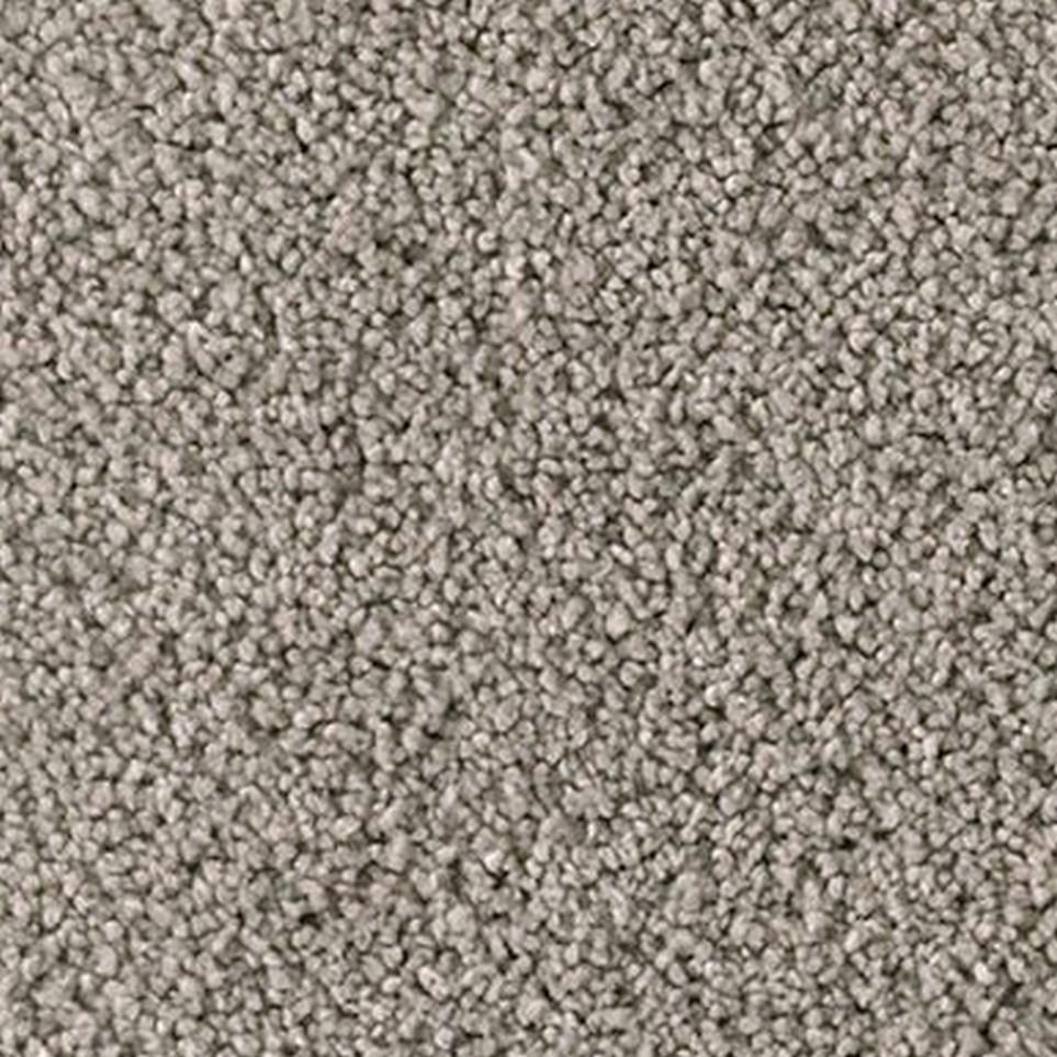 Dragonfly Zoomed Swatch