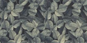 Jungle Swatch Thumbnail