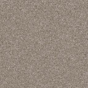 Top Dog - Yorkie Swatch