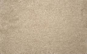 Sand Dollar Swatch Thumbnail