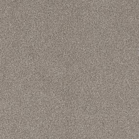 Dreams Happen Zoomed Swatch