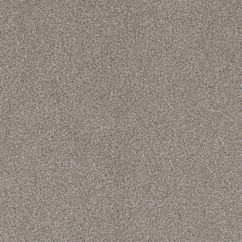 Dreams Happen Zoomed Swatch