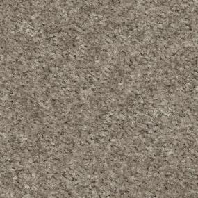 Chic Taupe Zoomed Swatch