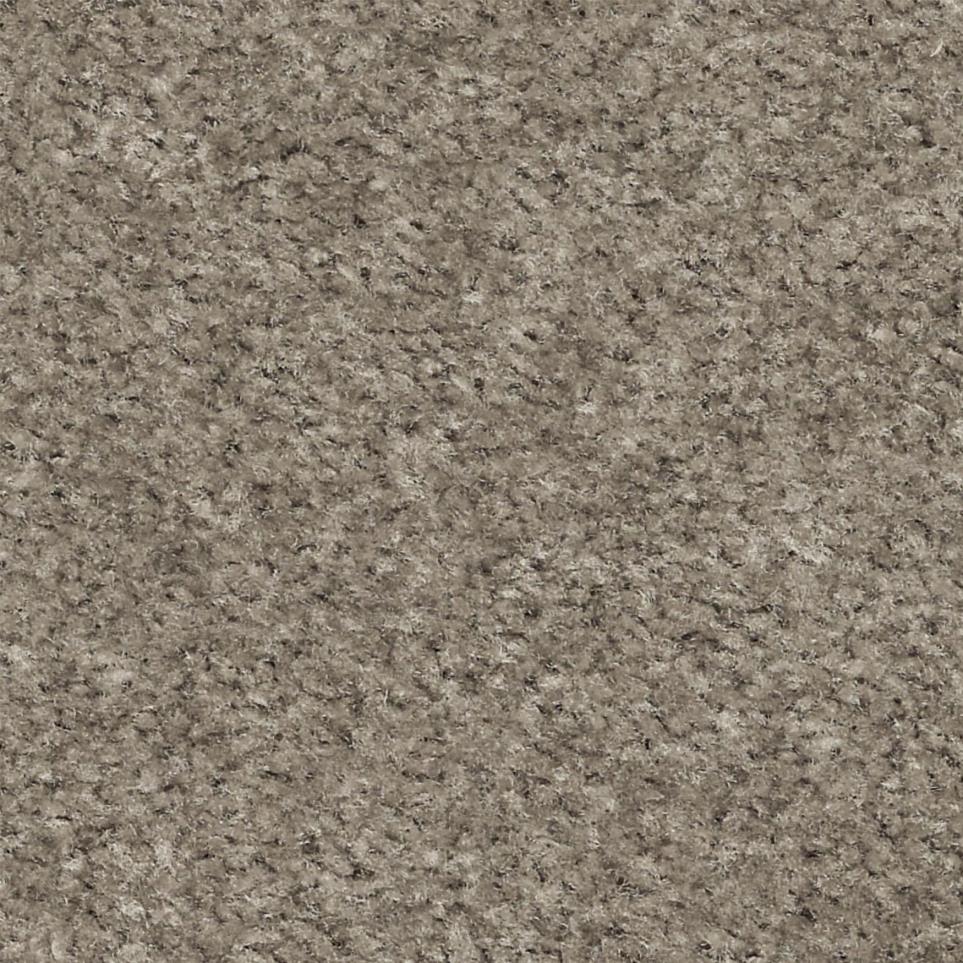 Chic Taupe Zoomed Swatch