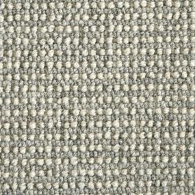 Barrier - Silver Swatch