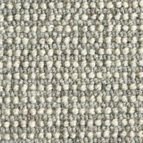 Silver Zoomed Swatch