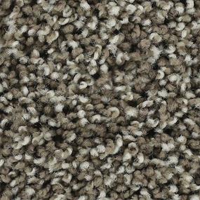 Taupe Shadow Swatch Thumbnail