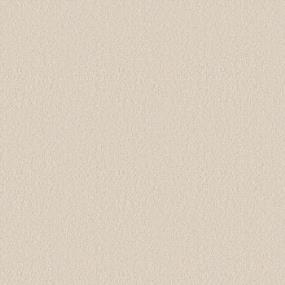 Brass Rings I - Canvas Swatch