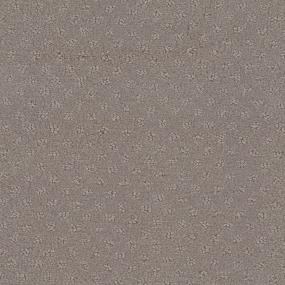 Sentara Zoomed Swatch