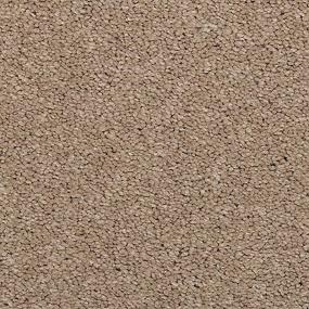 Taupe Swatch Thumbnail