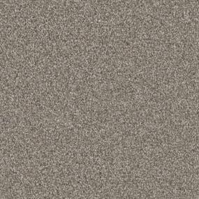 Bison Swatch Thumbnail