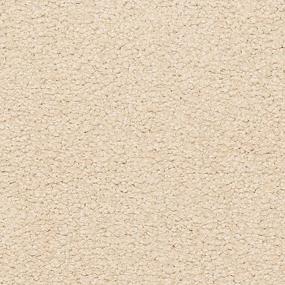 Somerset Bay - Candle Light Swatch