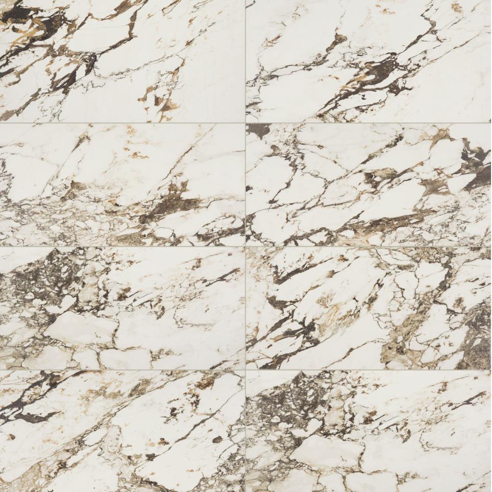 Panoramic Duet Rectangle 24X48 Mt