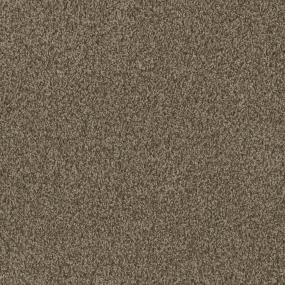Sp251 - Shimmer Swatch