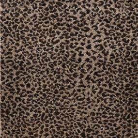 Ceremony - Leopard Swatch