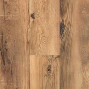 North Shore Oak Swatch
